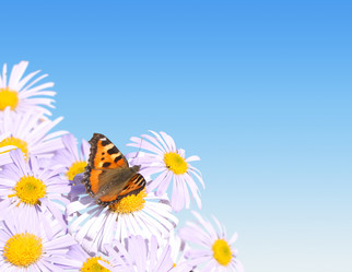 Similar image 105769