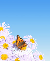 Similar image 105771