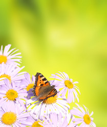 Similar image 105774