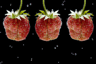 Similar image 105779