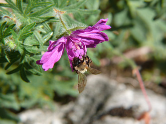 Similar image 105786