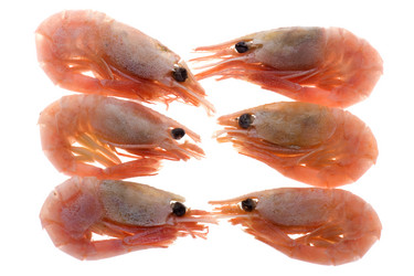 Similar image 105788