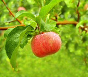 Similar image 105822