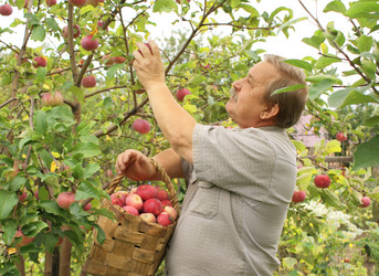 Similar image 105837