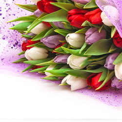 Similar image 105845