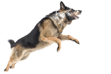 Similar image 105859