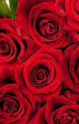 Similar image 105866