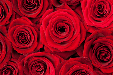 Similar image 105868