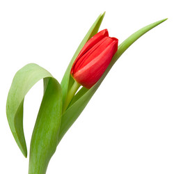 Similar image 105869