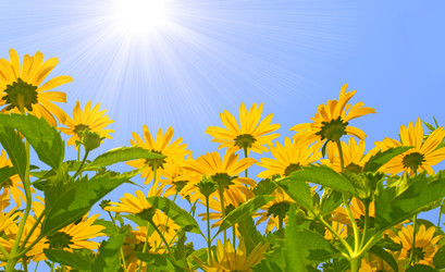 Similar image 105874