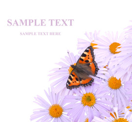 Similar image 105889