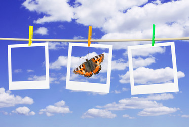 Similar image 105891