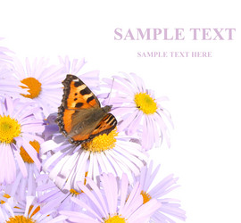 Similar image 105893