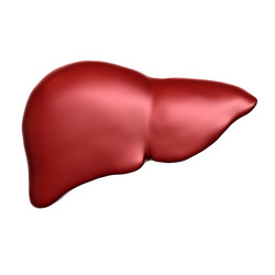 Similar image 105923