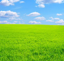 Similar image 105927