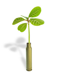 Similar image 105955