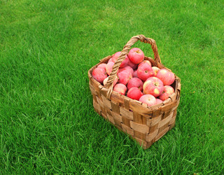 Similar image 105986