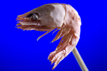 Similar image 105997