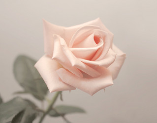 Similar image 106018