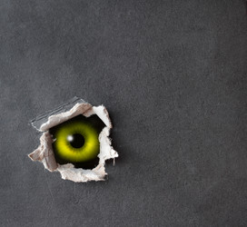 Similar image 106035