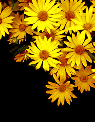 Similar image 106046