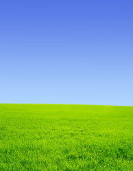 Similar image 106047