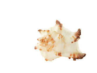 Similar image 106060