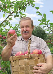 Similar image 106098