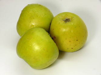 Similar image 106110