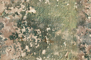 Similar image 106146