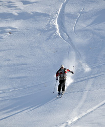 Similar image 106157