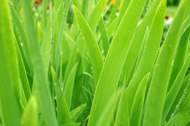 Similar image 106173