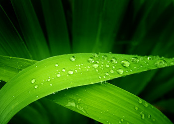 Similar image 106174