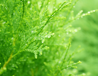 Similar image 106177