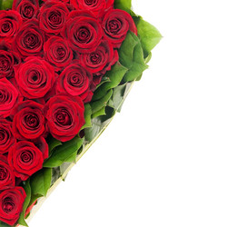 Similar image 106188