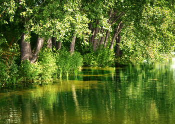 Similar image 106190