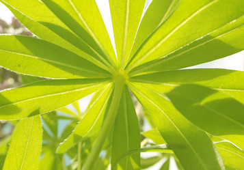 Similar image 106218