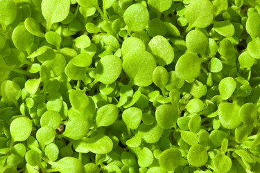 Similar image 106225