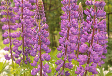 Similar image 106242