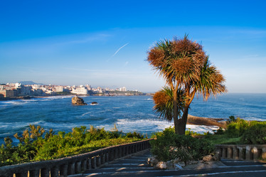 Similar image 106281