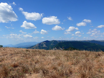 Similar image 106282