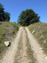 Similar image 106285