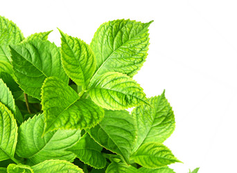 Similar image 106360