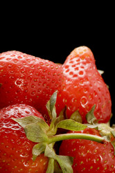 Similar image 106365