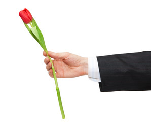 Similar image 106369