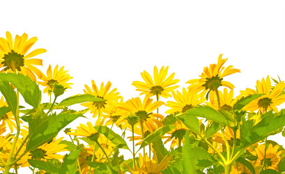 Similar image 106379