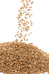 Similar image 106394