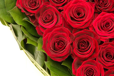 Similar image 106429