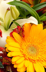 Similar image 106433