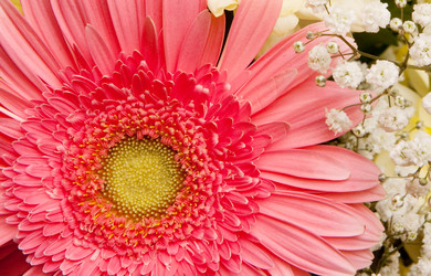 Similar image 106435